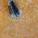 Mesauda Shine N'Wear 313 NEBULA smalto applicato colore rosso