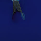 Mesauda Gelegant 714 DEEP OCEAN smalto semipermanente colore viola campione